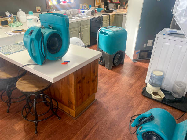 Best Carpet water damage restoration  in Santa Clara, OR