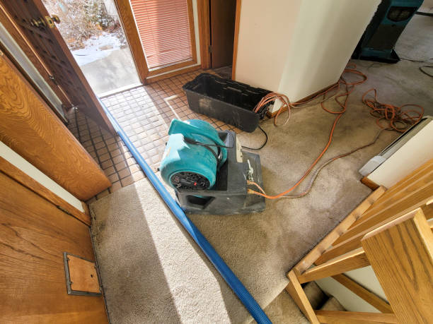 Best Water damage restoration services  in Santa Clara, OR