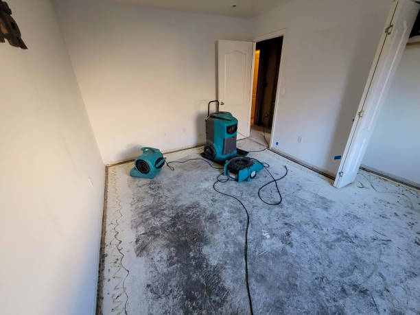 Reliable Santa Clara, OR Water damage restoration Solutions