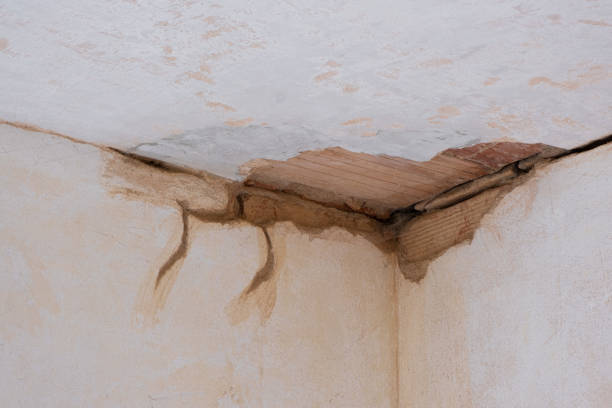 Best Mold removal after water damage  in Santa Clara, OR