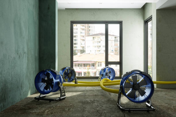Best Professional water damage repair  in Santa Clara, OR